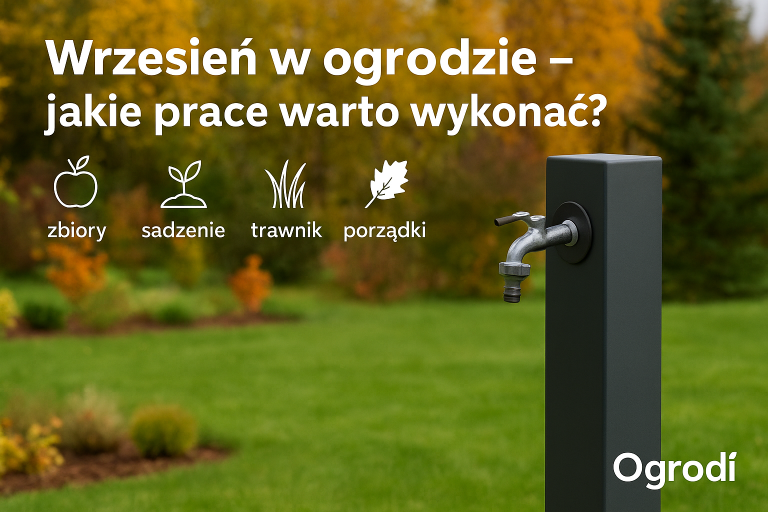 Wrzesień w ogrodzie – jakie prace warto wykonać?