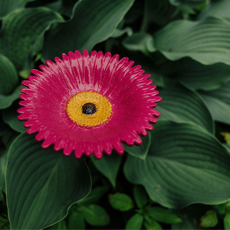 Poidło poidełko ogrodowe dla ptaków GERBERA