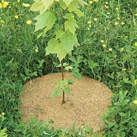 Dysk krążek ściółkujący ochronny kokosowy średnica 50 cm