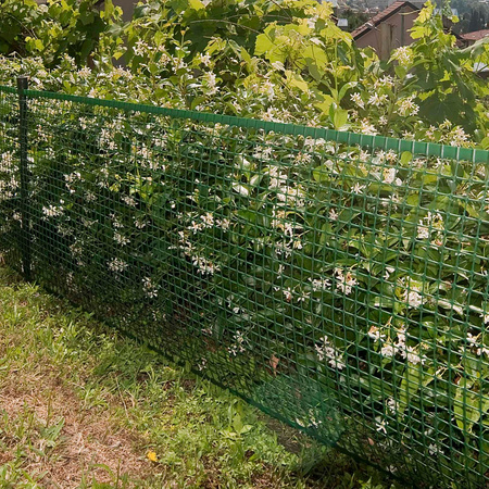 Siatka ochronna ogrodzeniowa plastikowa Quadra 20 1x10m oczko 20x20mm zielona TENAX