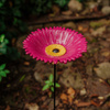 Poidło poidełko ogrodowe dla ptaków GERBERA