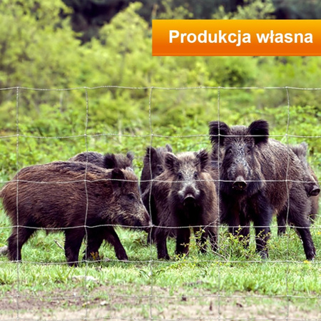 Siatka leśna ogrodzeniowa 180/24/15/50 Light