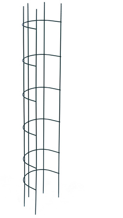 Podpora ogrodowa do roślin pierścieniowa 75 cm zielona