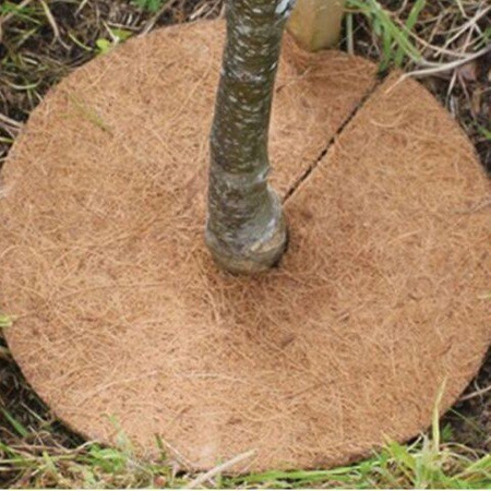 Dysk krążek ściółkujący ochronny kokosowy średnica 50 cm