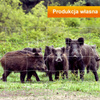 Siatka leśna ogrodzeniowa 180/24/15/50 Light