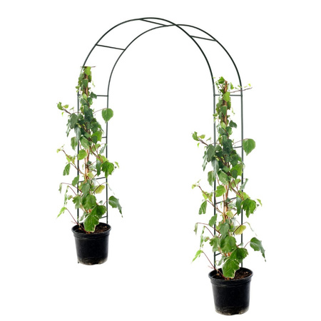 Pergola ogrodowa metalowa łuk CLASSIC 240x140x37 cm czarna