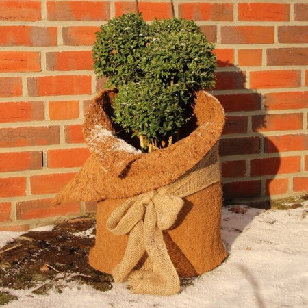 Mata kokosowa ściółkująca 80x250 cm, włókno kokosowe 100%