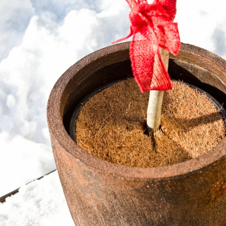 Dysk krążek ściółkujący ochronny kokosowy średnica 50 cm